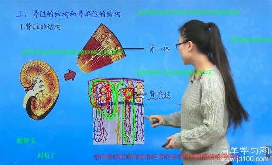 生物 人体的结构,生理及人类对生物圈的影响  修改问题标题还能输入