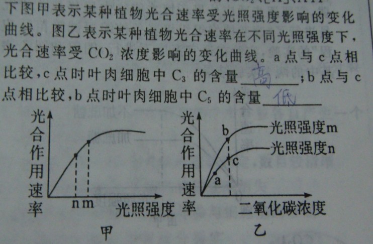 光合作用中c3和c5的关系 二氧化碳对c3和c5含量变化