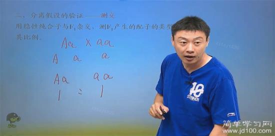 什么是侧交,什么是杂合子和纯合子
