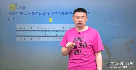 什么是电位差?_高一生物