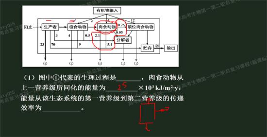 同化量指的是什么,应该怎样计算?,同化量指的