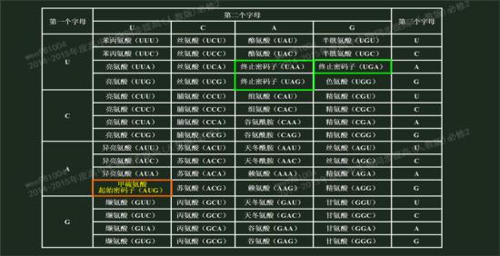 gug不也是起始密码子么.他怎么没写