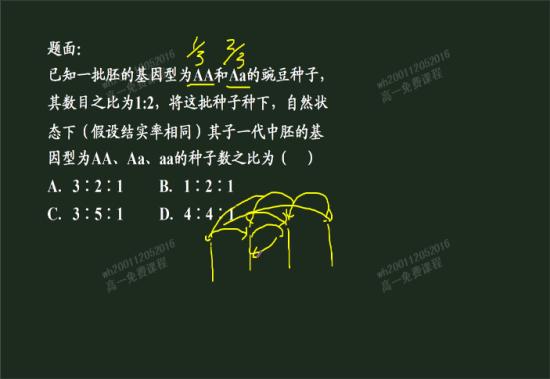 豌豆不应该是自花传粉的吗?_高一生物