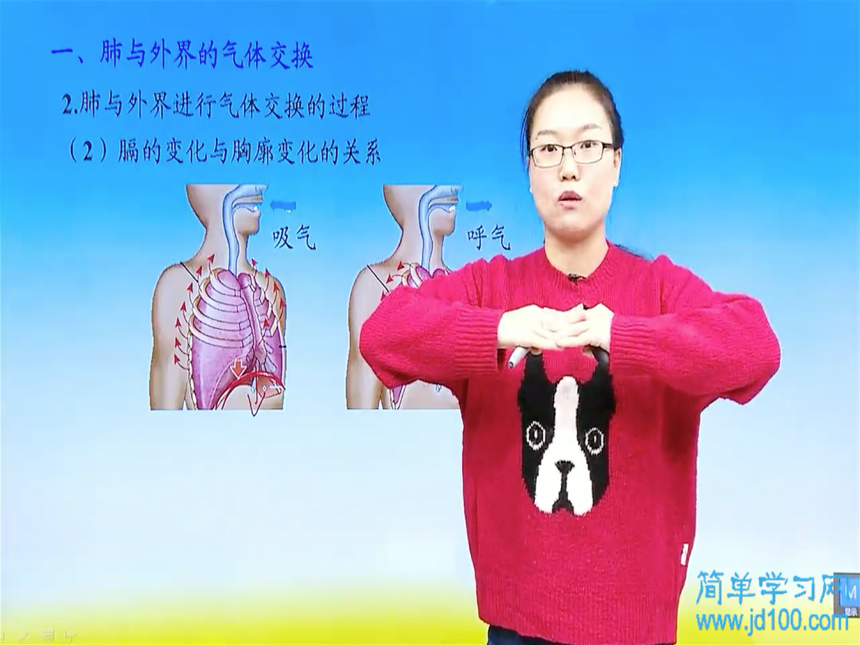 当吸气的时候肋间肌收缩是向下运动还是向上