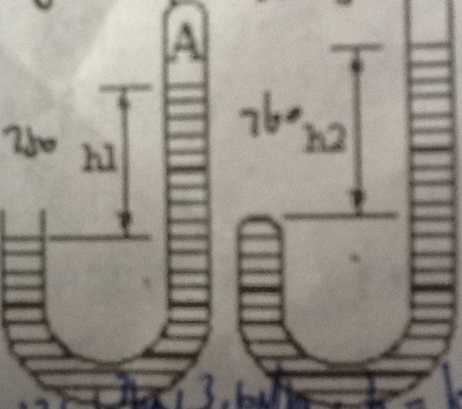 ѹǿĲ_ѹǿ͸