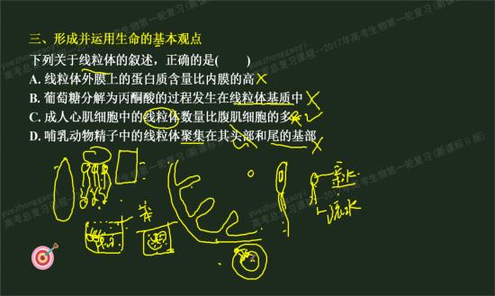 水溶性药物和脂溶性药物磷脂怎么包被_高三生