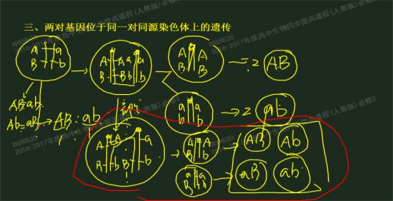 老师,画圈的这种情况是不是同源染色体发生