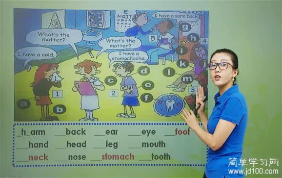 老师请发一下人教版八下英语单词