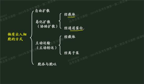 钾通道阻滞剂的应用_钾离子通道开放剂_钠离子钾离子通道阻滞剂