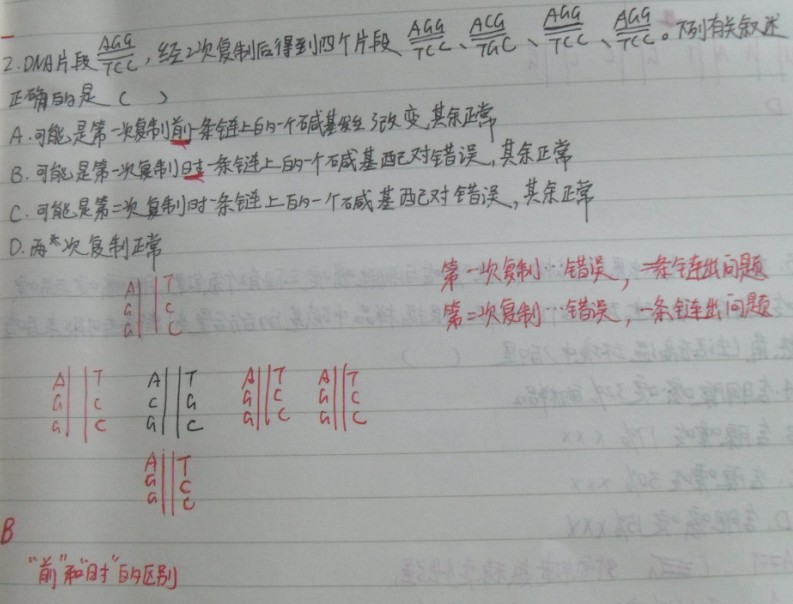 碱基互补配对题_高三生物遗传与进化