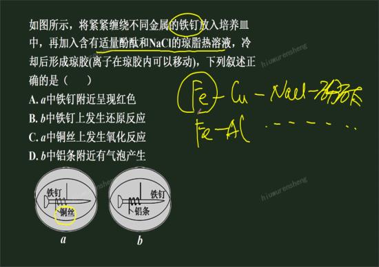 判断金属的活泼性(正负极)是根据金属的活_高