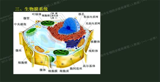 胞间连丝?_高一生物分子与细胞