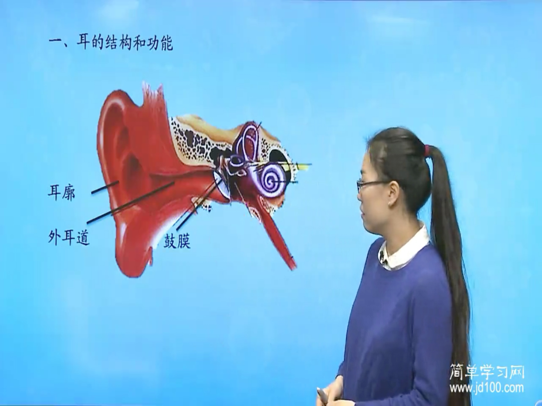 可以发一下耳结构的简图吗