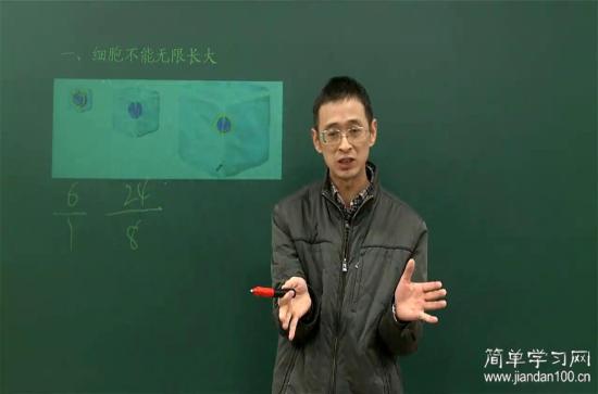 知道世界上最大的单细胞是什么吗?_高一生物