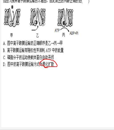 易化扩散是什么