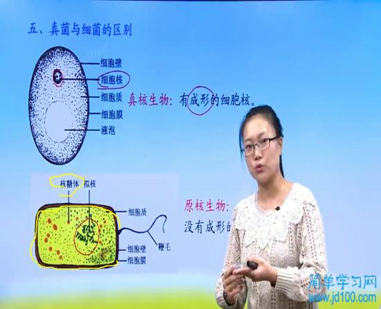 核糖体是干什么使的?细菌外面是否有荚膜?