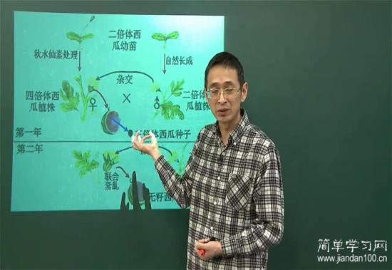 无籽西瓜的培育是产生新物种了吗,为什么,_高二生物
