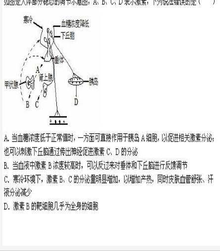 b甲状腺浓度升高反过来抑制促甲状腺激素分_