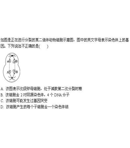 老师您好,本题解析中说姐妹染色单体分裂后