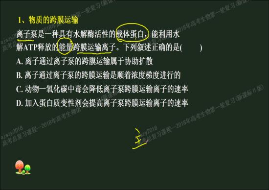 什么是易化扩散