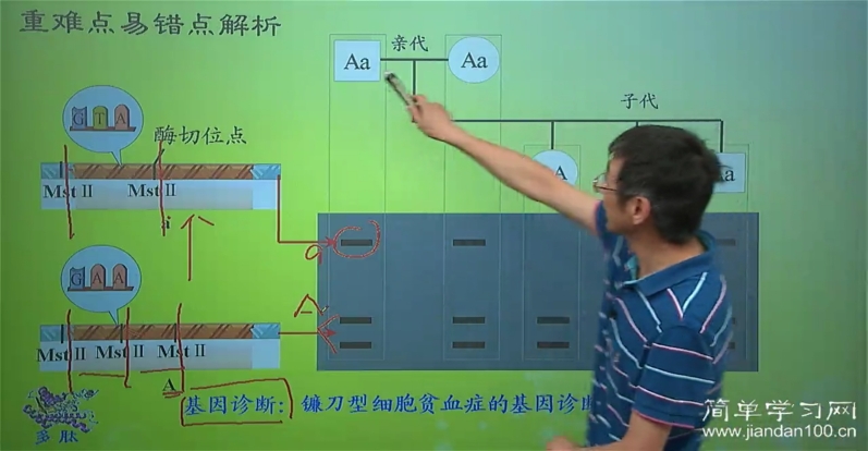 测试探针的酶切性能_限制性内切酶酶切_酶切电泳图