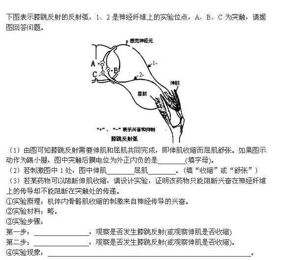 膝跳反射问题_高二生物稳态与环境