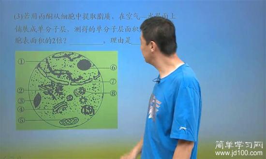 为什么中心体不属于生物膜系统,中心体不是_高