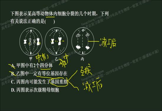 老师,请问什么是同源染色体,什么是非同源染色体,什么又是等位基因?