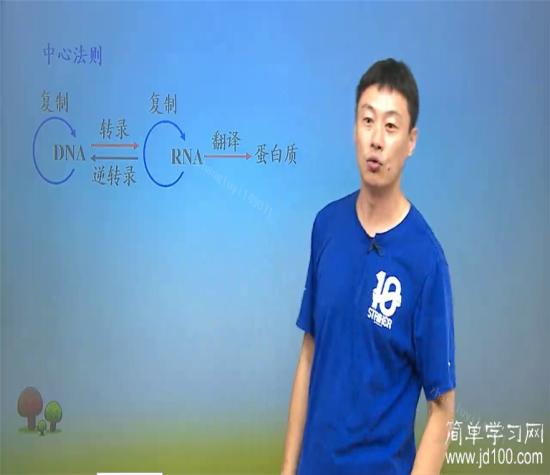 老师 中心法则是什么?