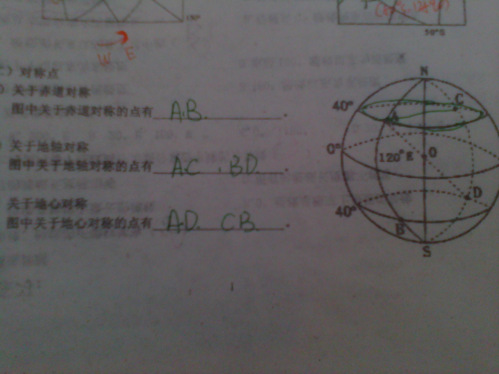 γ