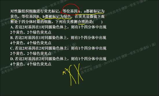 什么叫等位基因?