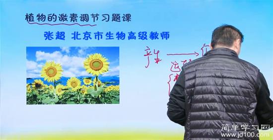 非极性运输是主动运输 还是 被动运输