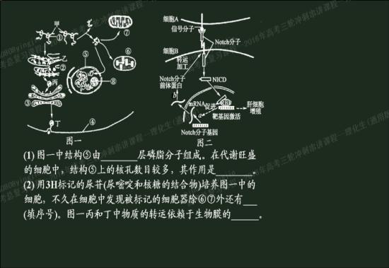 生物膜的结构特点和功能特点是什么_高三生物