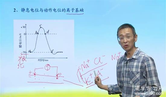 我的老师说 高考不考钠钾泵 原先讲课_高三生物
