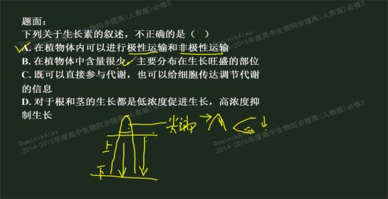 老师说尖端发生非极性运输 尖端以下部位发