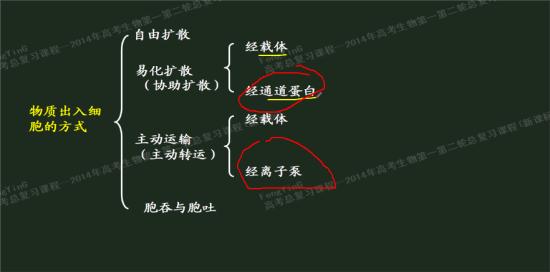 载体与离子泵的区别。什么叫通道蛋白_高三生物