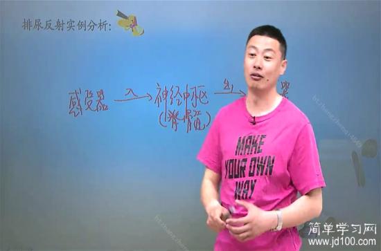 条件反射和非条件反射怎么区分?有什么差别_