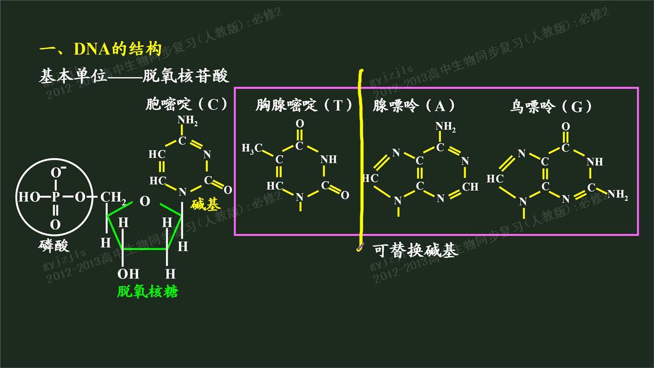 这么叫是因为音译:腺嘌呤(adenine,缩写为a,胸腺嘧啶(thymine,缩写