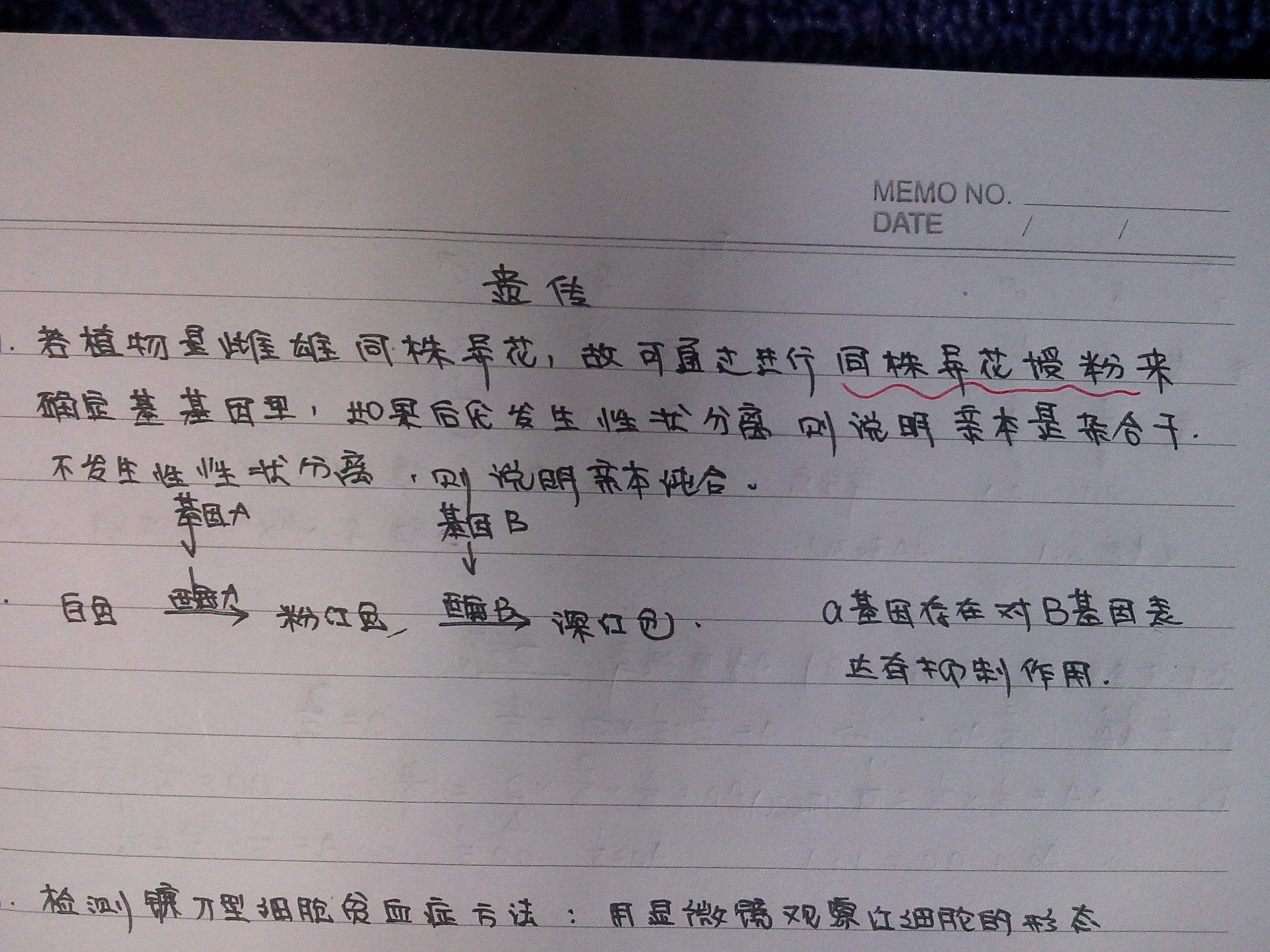 如果没有a对b基因的抑制作用