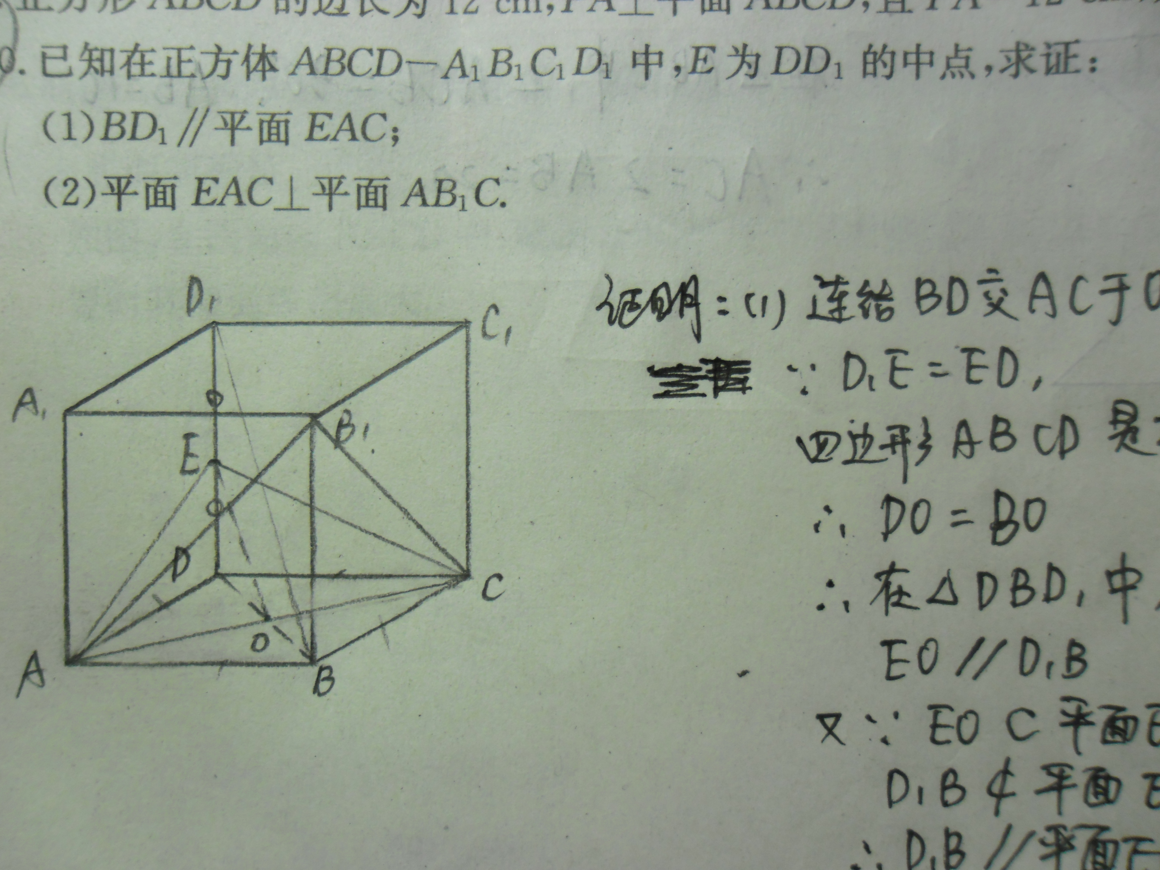 高一数学立体几何