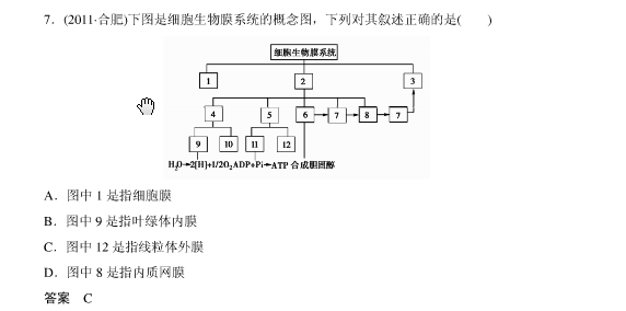 生物膜系统概念图