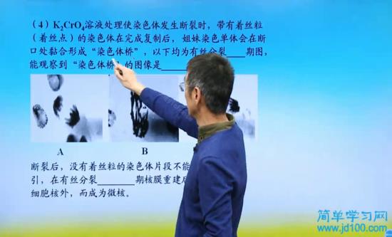 什么是复等位基因