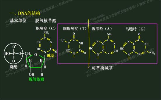 请问嘌呤和嘧啶结构的不同会导致什么?谢谢