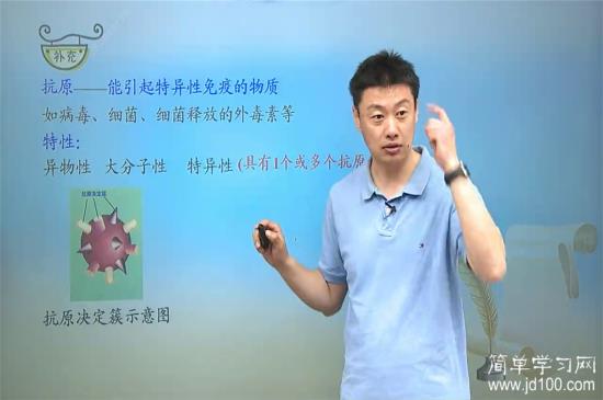 所以抗原决定簇到底是什么?是异物性,大分