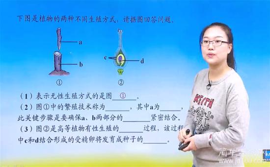 繁殖技术可以填枝接或芽接吗?