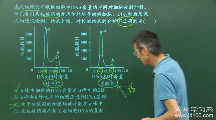 染色体的复制和DNA的复制有什么区别