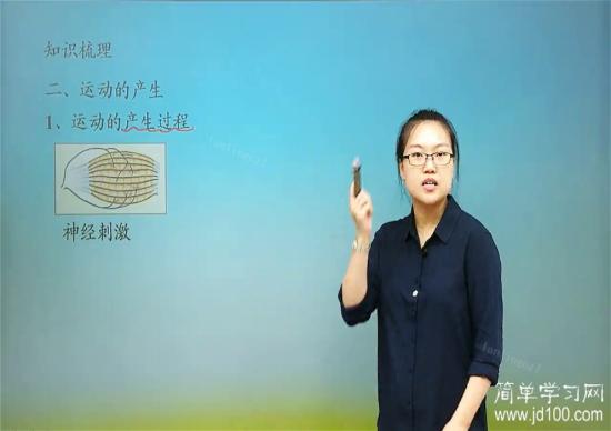 如果肱二头肌或肱三头肌酸痛怎么办