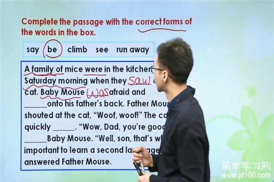 mouse的复数形式?