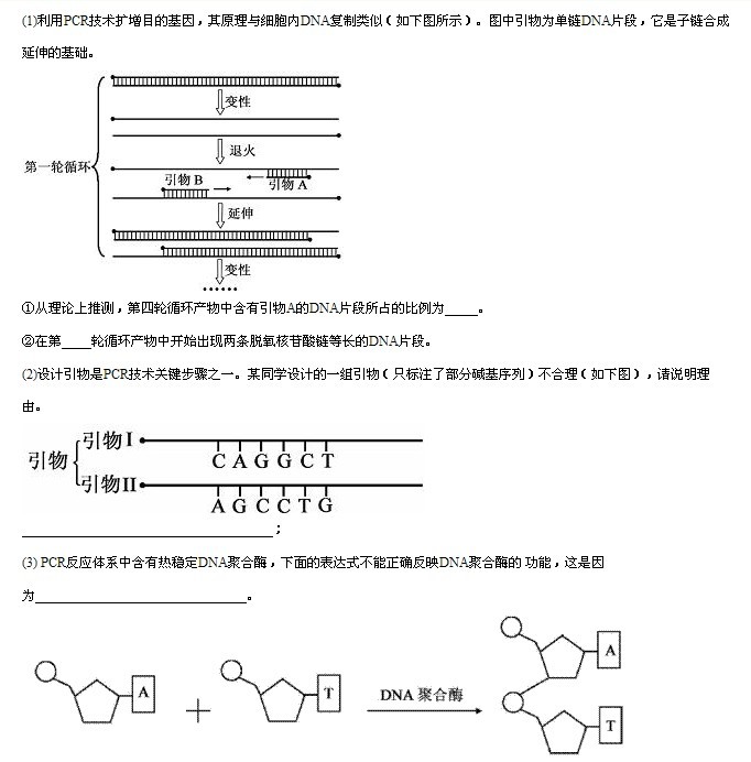 pcr過程pcr過程圖解