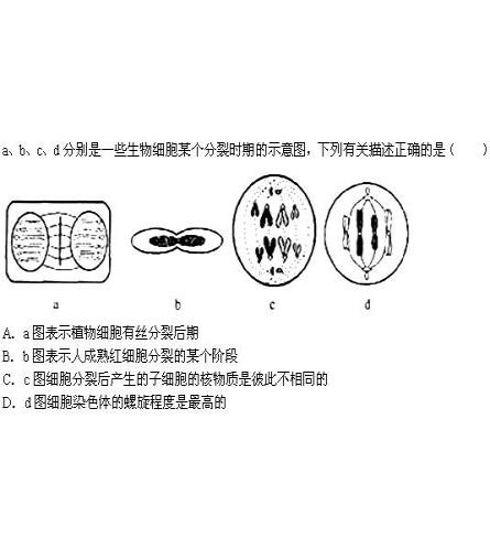 老师你好,蛙红细胞的分裂方式是什么?